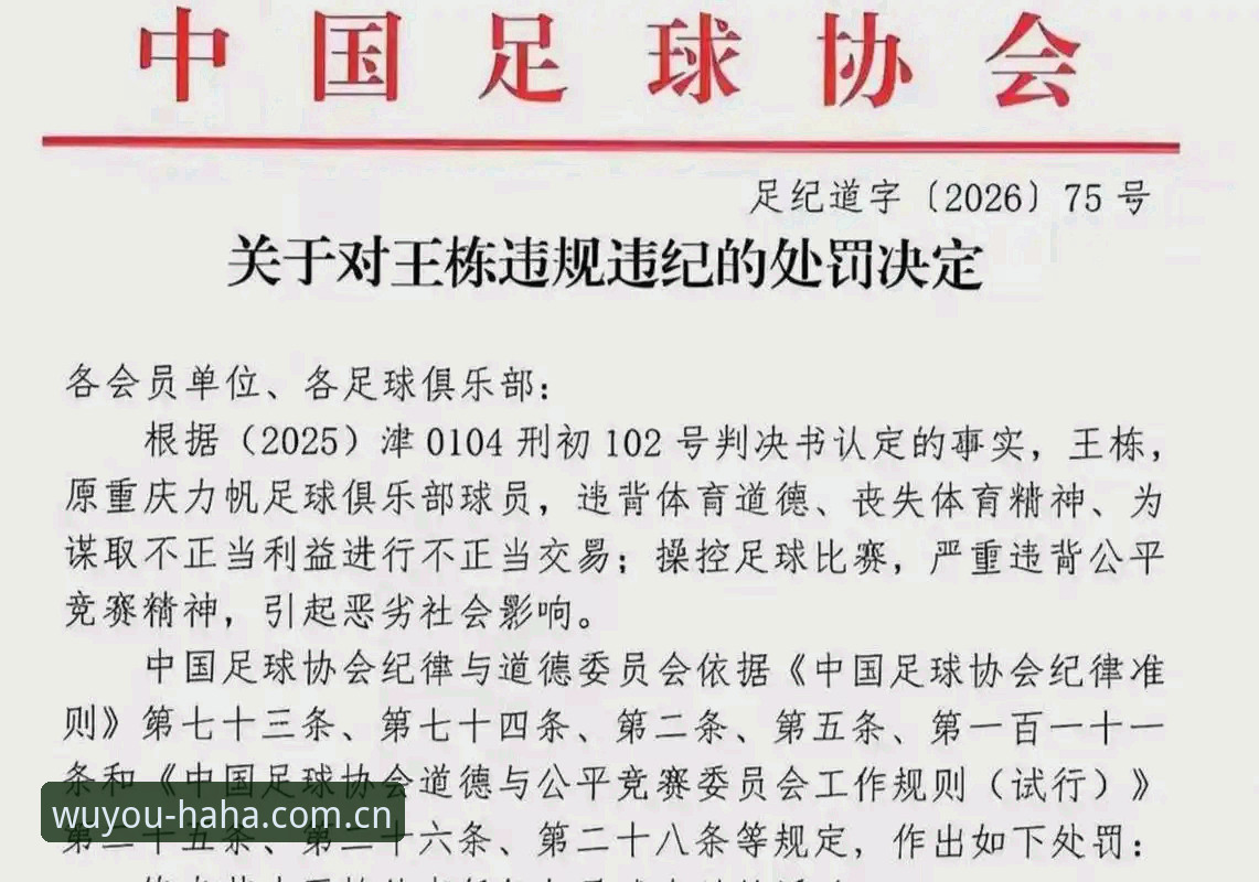哈哈体育怎么安装 中国足协第三批禁足名单详解:17人终身禁赛,48人遭重罚