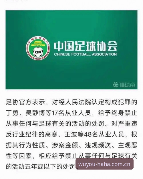 哈哈体育官方入口 中国足协第三批禁足名单详解:行业乱象与重塑新思路